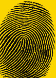 Buy Fingerprints at AllPosters.com