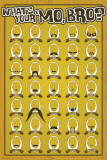 What's Your Mo, Bro?