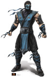 Buy Mortal Kombat - Subzero at AllPosters.com