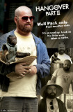 Hangover 2 - Quotes