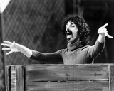 Buy Frank Zappa at AllPosters.com