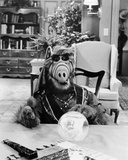 ALF