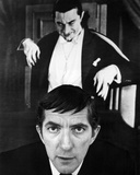 Dark Shadows