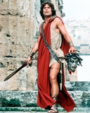 Harry Hamlin - Clash of the Titans