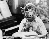 ALF
