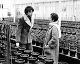 Harold and Maude