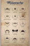 The Moustache