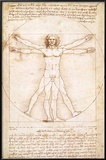 Buy Human Proportions - Vitruvius Man at AllPosters.com