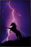 Lightning and Silhouette of Horse