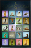 Yoga Dogs