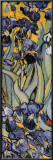 Irises, Saint-Remy, c.1889 (detail) Lamina Framed Poster