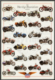 Harley Davidson Legend