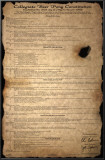 Beer Pong Constitution
