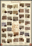 Genius of Leonardo Da Vinci