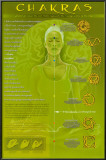 Chakras and Mudras