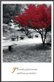 Buy Quiet Moments at AllPosters.com