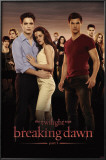Buy Twilight 4 - Breaking Dawn - Group at AllPosters.com