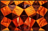 Cinquenta, Tigre Real