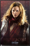 Buy Harry Potter and the Deathly Hallows - Hermione at AllPosters.com
