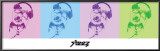 Steez - Dj Doggie Quad