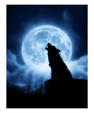 Buy Cries of the Night at AllPosters.com
