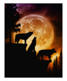 Buy Wolves Peak at AllPosters.com