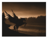 Pegasus
