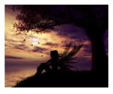 The Dreamer