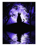 Rosalie's Moon