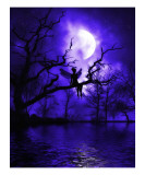 Celestial Night