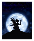 Catch a Falling Star