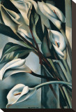 Buy Arums II at AllPosters.com
