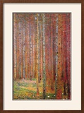 Tannenwald