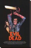 The Evil Dead