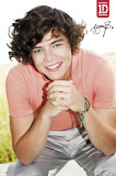 Buy One Direction- Harry at AllPosters.com