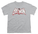 Youth: Batman - Plaid Splat Logo T-Shirt