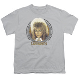 Buy Youth: Labyrinth - 25 Years at AllPosters.com