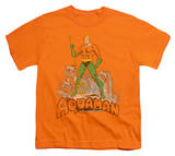Buy Youth: Aquaman - Aquaman Distressed at AllPosters.com