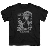 Buy Youth: Labyrinth - Anniversary at AllPosters.com