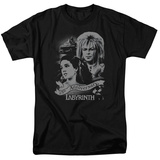 Buy Labyrinth - Anniversary at AllPosters.com