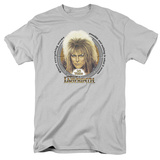 Buy Labyrinth - 25 Years at AllPosters.com