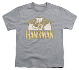 Youth: Hawkman - Fly By