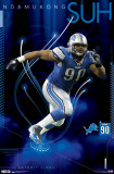 Lions - N Suh 2011