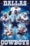 Cowboys - Team 2011