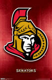 Senators - Logo 2011