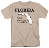 Buy Florida at AllPosters.com