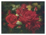 Roses Are Red