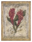 Red Ginger
