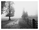 Buy Misty I at AllPosters.com
