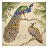 Peafowls